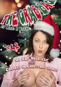 The Grab Bag #42 - Go Elf Yourself & Cloaked in Christmas Spirit by Kris P. Kreme